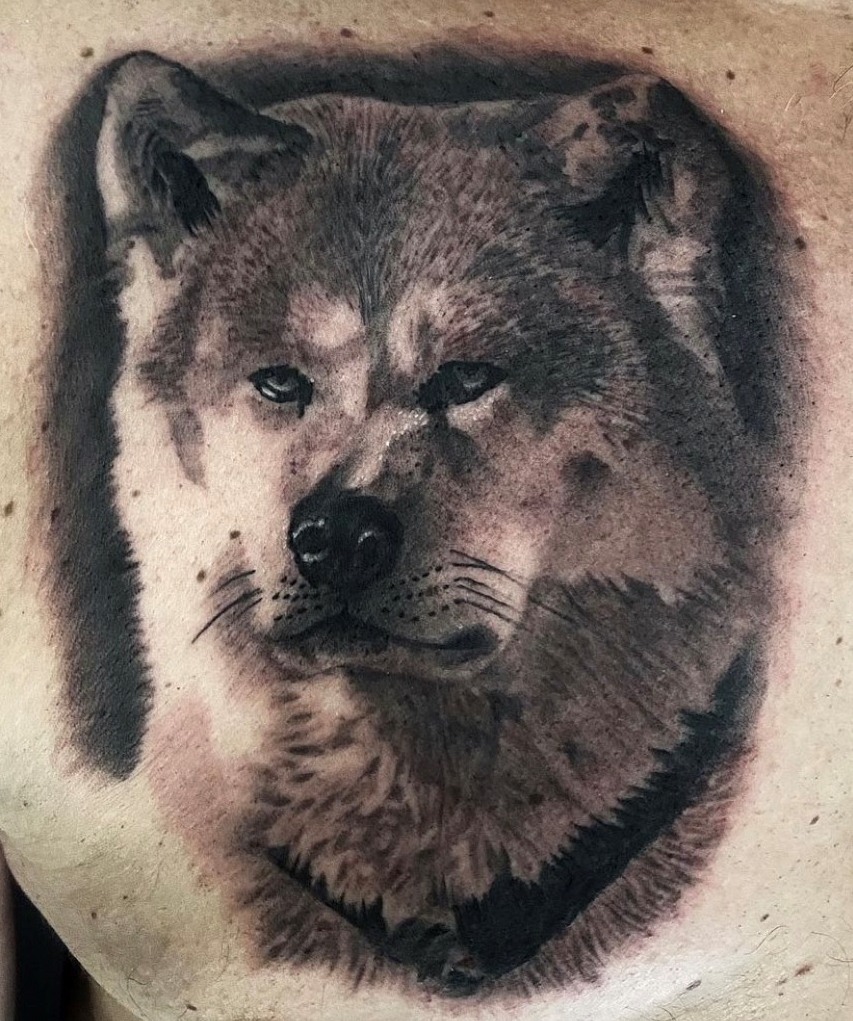 Tattoo von einem Wolfkopf auf der Brust